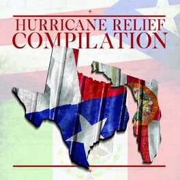 Album cover of The Hurricane Relief Compilation - 40 Days