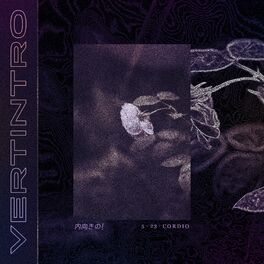 Album cover of Vertintro