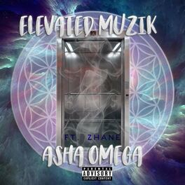 Album cover of Elevated Muzik (feat. Zhane)
