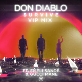 Album cover of Survive (VIP Mix)