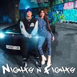 Album cover of Nights N Fights