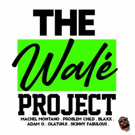 Album cover of The Walé Project