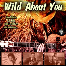 Album cover of Wild About You
