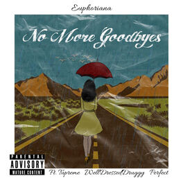 Album cover of No More Goodbyes