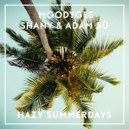 Album cover of Hazy Summerdays