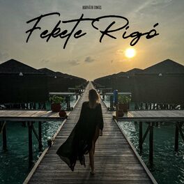 Album cover of Fekete Rigó