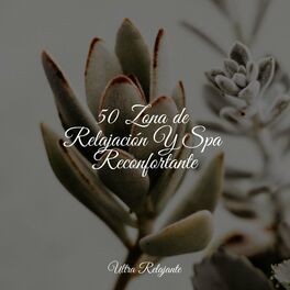 Album cover of 50 Zona de Relajación Y Spa Reconfortante