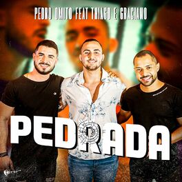 Album cover of Pedrada