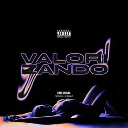 Album cover of Valorizando