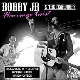 Album cover of Flamingo Twist