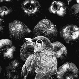 Album cover of Put An Apple In My Mouth