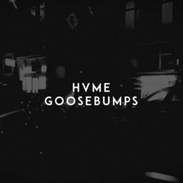 Album picture of Goosebumps