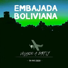 Album cover of Volando a Barfly