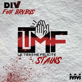Album cover of Ltmf Stains (feat. Brvbus)