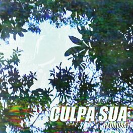 Album cover of Culpa Sua