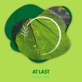 Album cover of At Last Near the Forest