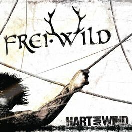 Album cover of Hart am Wind