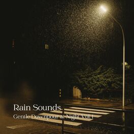 Album cover of Rain Sounds: Gentle Downpour at Night Vol. 1