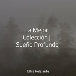 Album cover of La Mejor Colección | Sueño Profundo