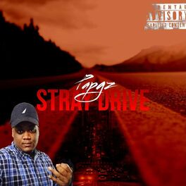 Album cover of StrayDrive