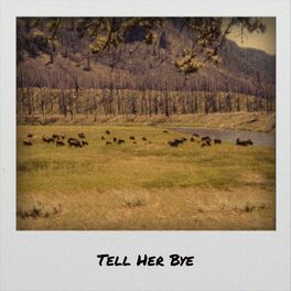 Album cover of Tell Her Bye