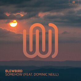 Album cover of Somehow