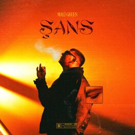 Album cover of ŞANS
