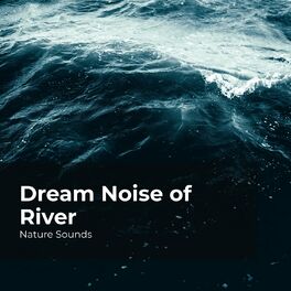 Album cover of Dream Noise of River