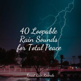 Album cover of 40 Loopable Rain Sounds for Total Peace