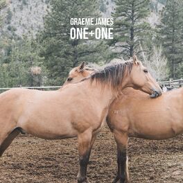 Album cover of One + One