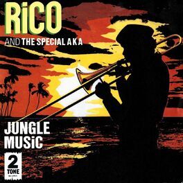 Album cover of Jungle Music