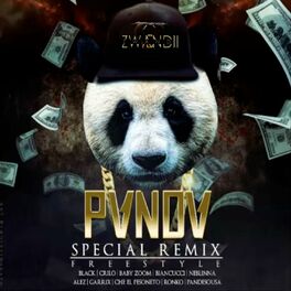 Album cover of Panda (Spanish Version)