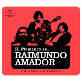Album cover of Flamenco es... Raimundo Amador
