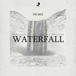 Album cover of Waterfall (VIP Mix)