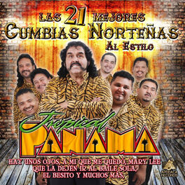 Album cover of Las 21 Mejores Cumbias Norteñas al Estilo