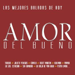 Album cover of Amor Del Bueno 2