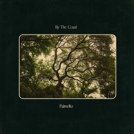 Album cover of Palmetto