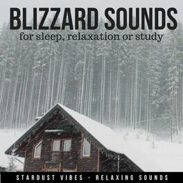 Album cover of Blizzard Sounds for Sleep, Relaxation or Study