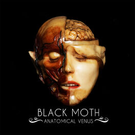 Album cover of Anatomical Venus