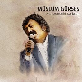 Album cover of Mahzendeki Şarkılar
