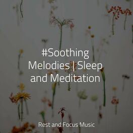 Album cover of #Soothing Melodies | Sleep and Meditation