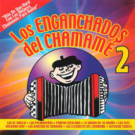 Album cover of Los Enganchados del Chamamé 2