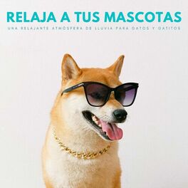 Album cover of Relaje A Tus Mascotas: Una Relajante Atmósfera De Lluvia Para Gatos Y Gatitos