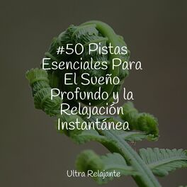 Album cover of #50 Pistas Esenciales Para El Sueño Profundo y la Relajación Instantánea