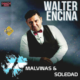 Album cover of Malvinas y Soledad