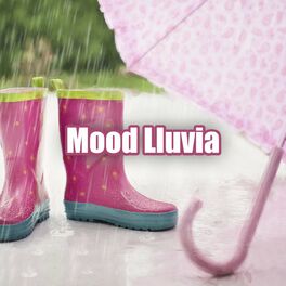 Album cover of Mood Lluvia