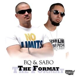 Album cover of The Format