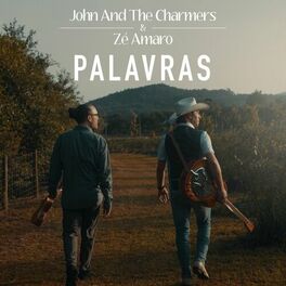 Album cover of Palavras