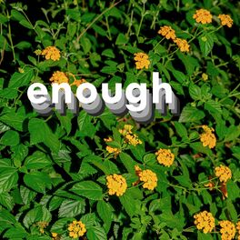 Album cover of enough - (Nura & Peregrino Remix)