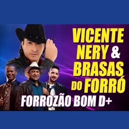 Album cover of Forrrozão Bom D+